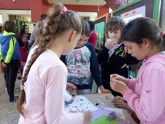 IMG_20171003_110119.jpg